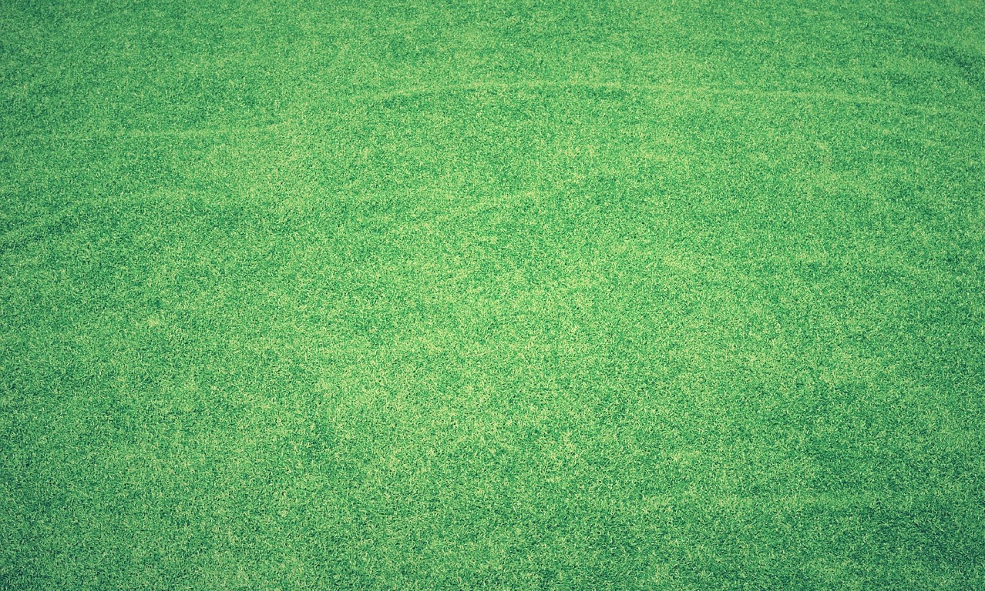 lawn, hd wallpaper, full hd wallpaper-1846813.jpg